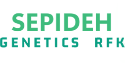 sepide_research